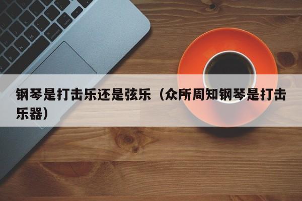 钢琴是打击乐还是弦乐（众所周知钢琴是打击乐器）-第1张图片-鲸幼网