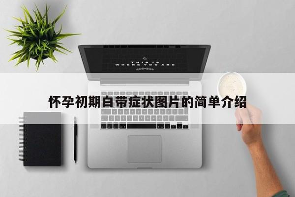 怀孕初期白带症状图片的简单介绍-第1张图片-鲸幼网