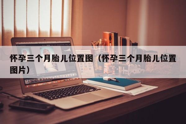 怀孕三个月胎儿位置图（怀孕三个月胎儿位置图片）-第1张图片-鲸幼网