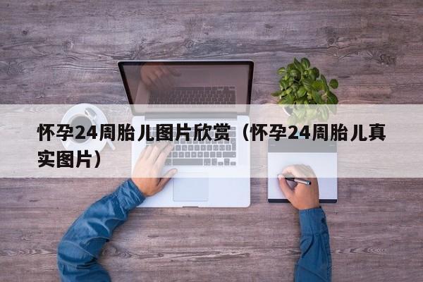怀孕24周胎儿图片欣赏（怀孕24周胎儿真实图片）-第1张图片-鲸幼网