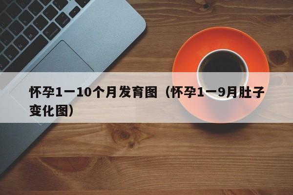 怀孕1一10个月发育图（怀孕1一9月肚子变化图）-第1张图片-鲸幼网