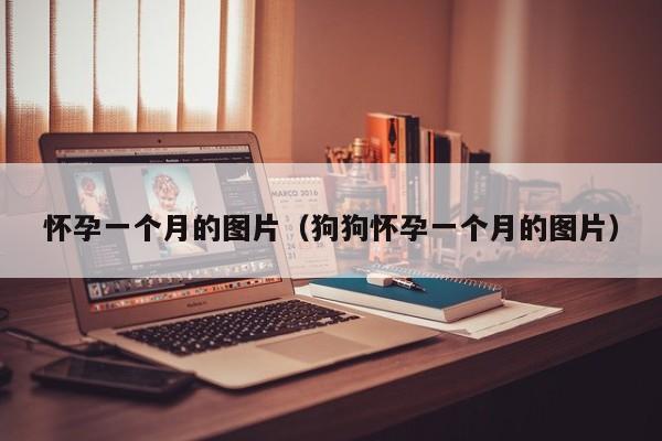 怀孕一个月的图片（狗狗怀孕一个月的图片）-第1张图片-鲸幼网