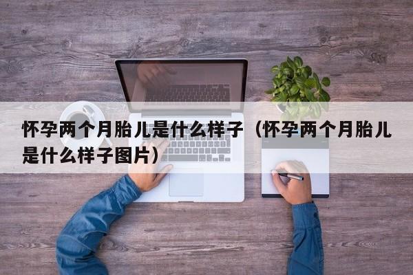 怀孕两个月胎儿是什么样子（怀孕两个月胎儿是什么样子图片）-第1张图片-鲸幼网