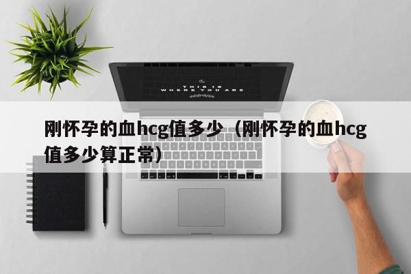 刚怀孕的血hcg值多少（刚怀孕的血hcg值多少算正常）-第1张图片-鲸幼网