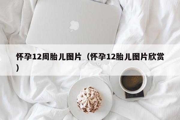 怀孕12周胎儿图片（怀孕12胎儿图片欣赏）-第1张图片-鲸幼网