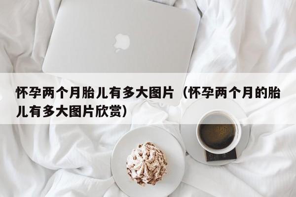 怀孕两个月胎儿有多大图片（怀孕两个月的胎儿有多大图片欣赏）-第1张图片-鲸幼网