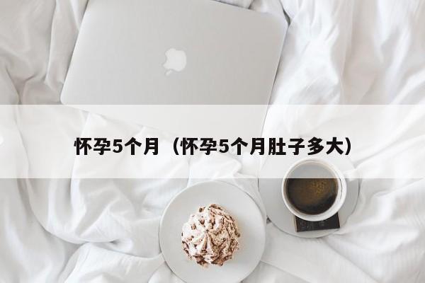 怀孕5个月（怀孕5个月肚子多大）-第1张图片-鲸幼网