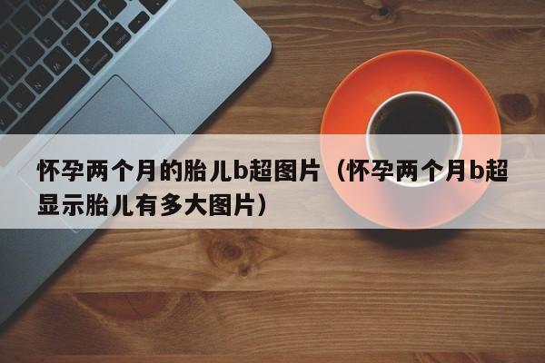 怀孕两个月的胎儿b超图片（怀孕两个月b超显示胎儿有多大图片）-第1张图片-鲸幼网