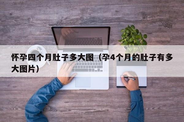 怀孕四个月肚子多大图（孕4个月的肚子有多大图片）-第1张图片-鲸幼网