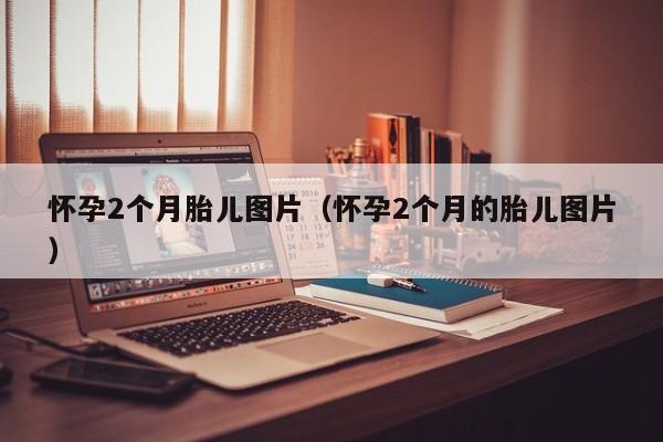 怀孕2个月胎儿图片（怀孕2个月的胎儿图片）-第1张图片-鲸幼网