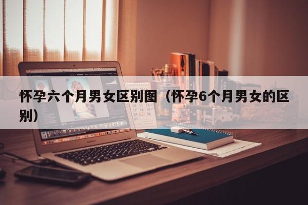 怀孕六个月男女区别图（怀孕6个月男女的区别）-第1张图片-鲸幼网