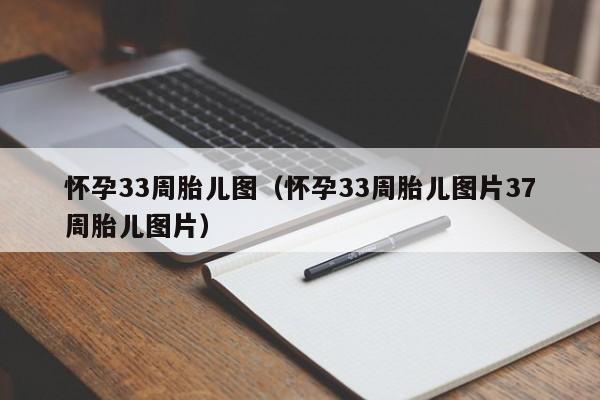 怀孕33周胎儿图（怀孕33周胎儿图片37周胎儿图片）-第1张图片-鲸幼网