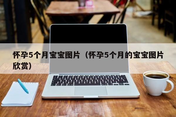 怀孕5个月宝宝图片（怀孕5个月的宝宝图片欣赏）-第1张图片-鲸幼网