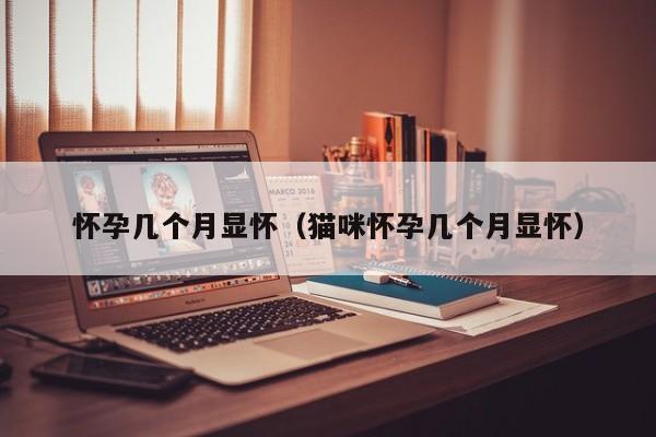 怀孕几个月显怀（猫咪怀孕几个月显怀）-第1张图片-鲸幼网