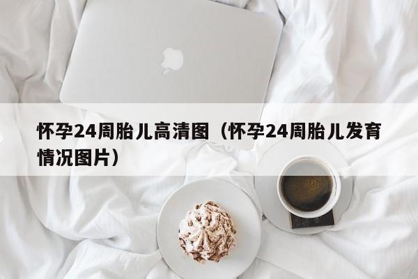 怀孕24周胎儿高清图（怀孕24周胎儿发育情况图片）-第1张图片-鲸幼网