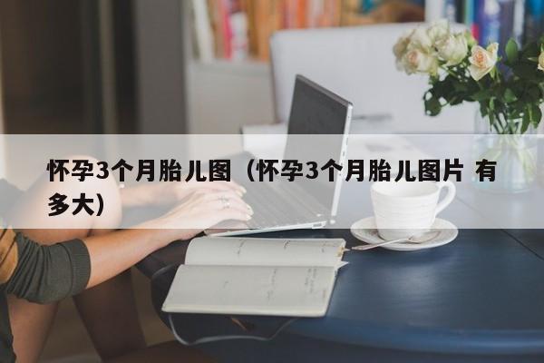 怀孕3个月胎儿图（怀孕3个月胎儿图片 有多大）-第1张图片-鲸幼网