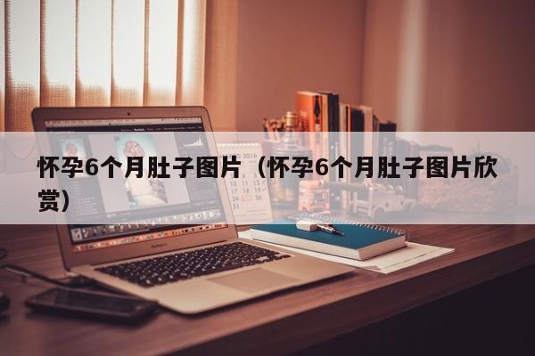 怀孕6个月肚子图片（怀孕6个月肚子图片欣赏）-第1张图片-鲸幼网