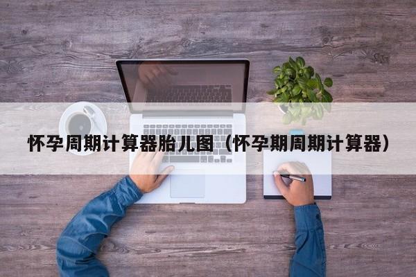 怀孕周期计算器胎儿图（怀孕期周期计算器）-第1张图片-鲸幼网