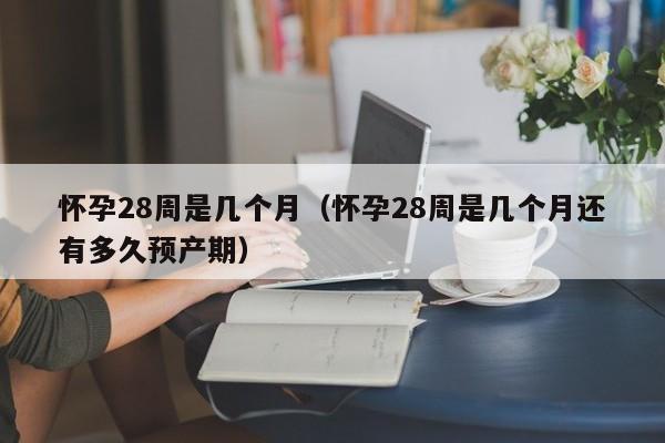 怀孕28周是几个月（怀孕28周是几个月还有多久预产期）-第1张图片-鲸幼网