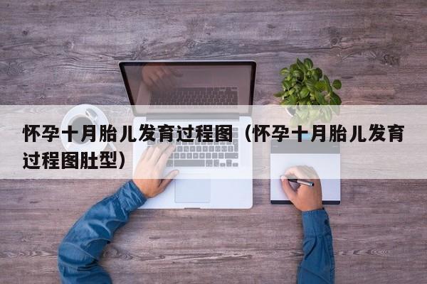 怀孕十月胎儿发育过程图（怀孕十月胎儿发育过程图肚型）-第1张图片-鲸幼网