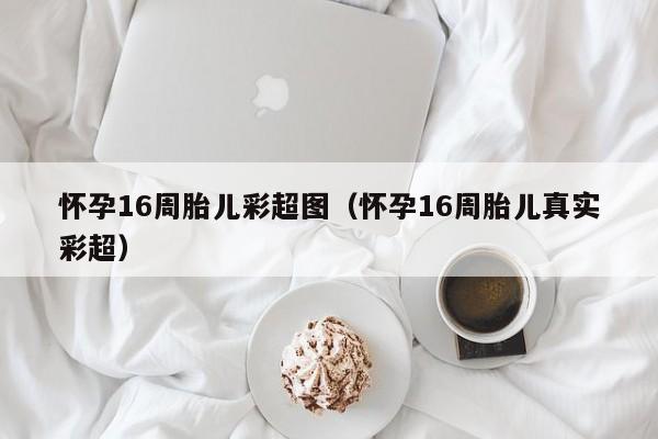 怀孕16周胎儿彩超图（怀孕16周胎儿真实彩超）-第1张图片-鲸幼网