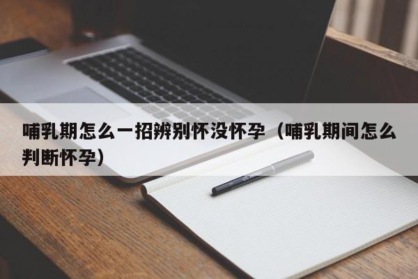 哺乳期怎么一招辨别怀没怀孕（哺乳期间怎么判断怀孕）-第1张图片-鲸幼网