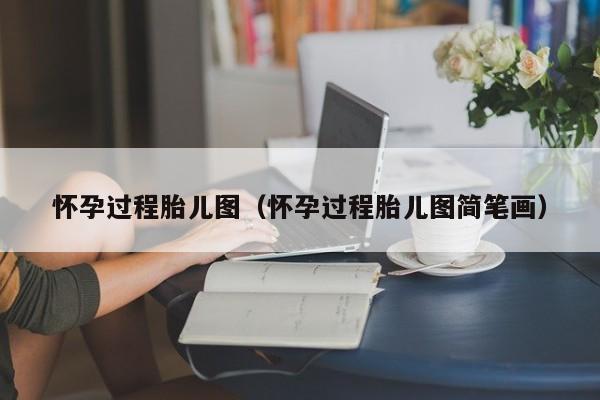 怀孕过程胎儿图（怀孕过程胎儿图简笔画）-第1张图片-鲸幼网