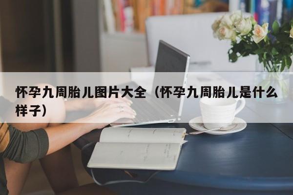 怀孕九周胎儿图片大全（怀孕九周胎儿是什么样子）-第1张图片-鲸幼网