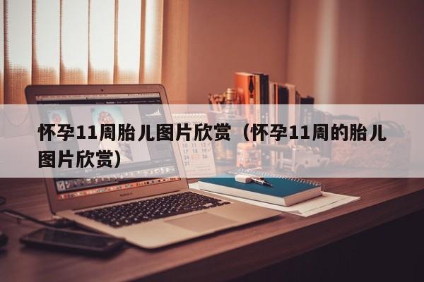 怀孕11周胎儿图片欣赏（怀孕11周的胎儿图片欣赏）-第1张图片-鲸幼网