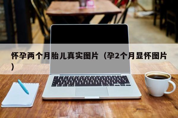 怀孕两个月胎儿真实图片（孕2个月显怀图片）-第1张图片-鲸幼网