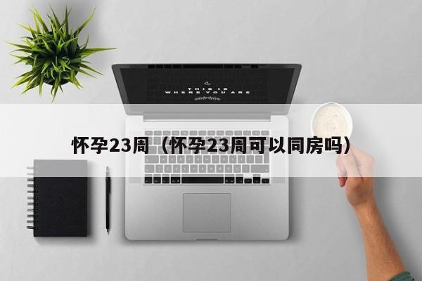 怀孕23周（怀孕23周可以同房吗）-第1张图片-鲸幼网