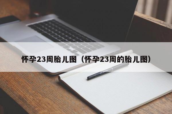怀孕23周胎儿图（怀孕23周的胎儿图）-第1张图片-鲸幼网