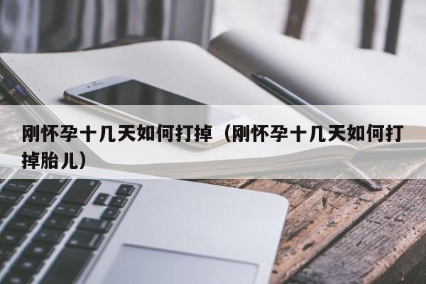 刚怀孕十几天如何打掉（刚怀孕十几天如何打掉胎儿）-第1张图片-鲸幼网