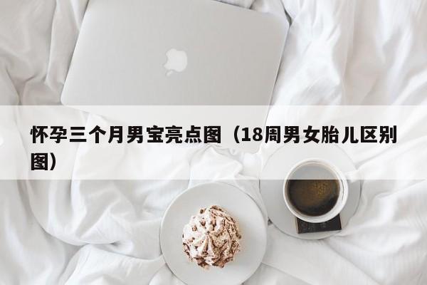 怀孕三个月男宝亮点图（18周男女胎儿区别图）-第1张图片-鲸幼网