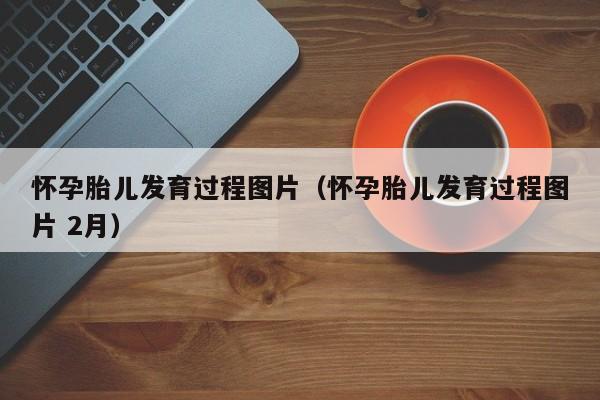 怀孕胎儿发育过程图片（怀孕胎儿发育过程图片 2月）-第1张图片-鲸幼网
