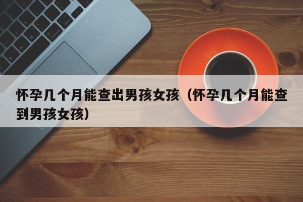 怀孕几个月能查出男孩女孩（怀孕几个月能查到男孩女孩）-第1张图片-鲸幼网