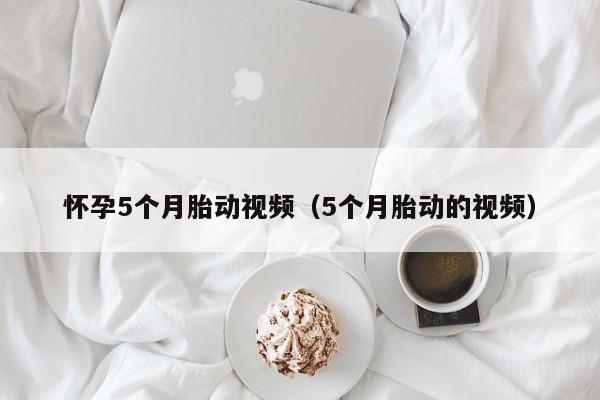 怀孕5个月胎动视频（5个月胎动的视频）-第1张图片-鲸幼网