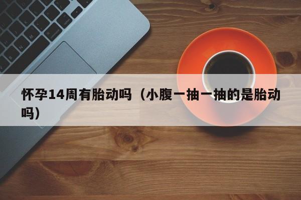 怀孕14周有胎动吗（小腹一抽一抽的是胎动吗）-第1张图片-鲸幼网