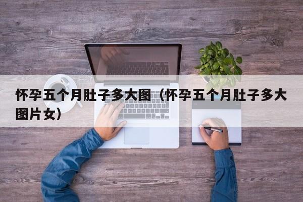 怀孕五个月肚子多大图（怀孕五个月肚子多大图片女）-第1张图片-鲸幼网