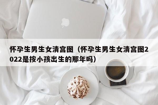 怀孕生男生女清宫图（怀孕生男生女清宫图2022是按小孩出生的那年吗）-第1张图片-鲸幼网