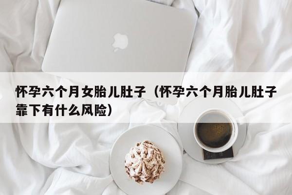 怀孕六个月女胎儿肚子（怀孕六个月胎儿肚子靠下有什么风险）-第1张图片-鲸幼网