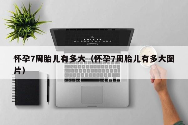 怀孕7周胎儿有多大（怀孕7周胎儿有多大图片）-第1张图片-鲸幼网