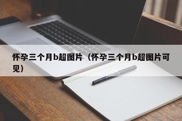 怀孕三个月b超图片（怀孕三个月b超图片可见）-第1张图片-鲸幼网