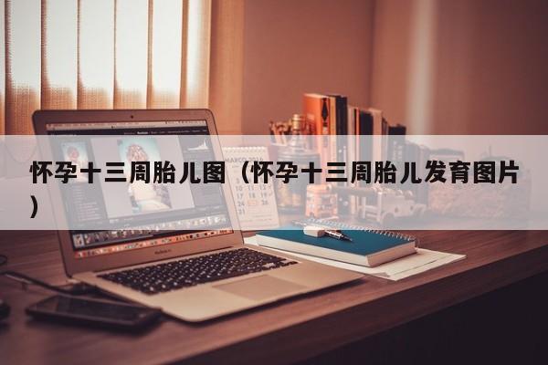 怀孕十三周胎儿图（怀孕十三周胎儿发育图片）-第1张图片-鲸幼网