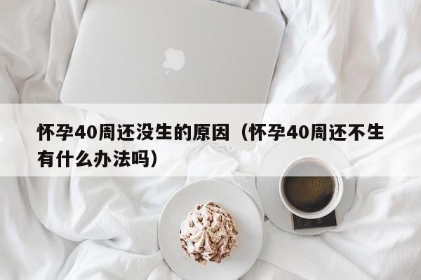 怀孕40周还没生的原因（怀孕40周还不生有什么办法吗）-第1张图片-鲸幼网